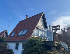 Wolfs-Blick Langelsheim